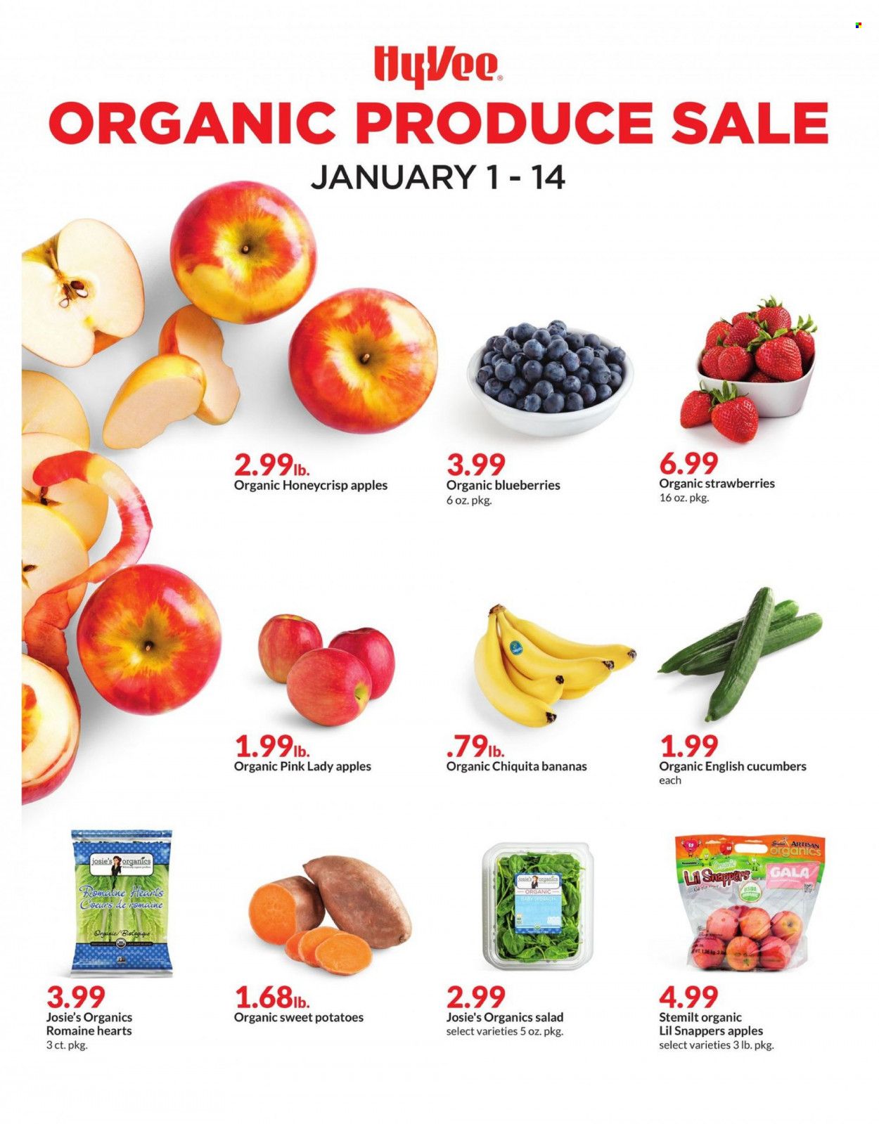 HyVee (IA, IL, MN, MO, SD) Weekly Ad Flyer Specials January 1 to