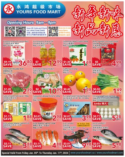 Yours Food Mart Flyer January 5 to 11
