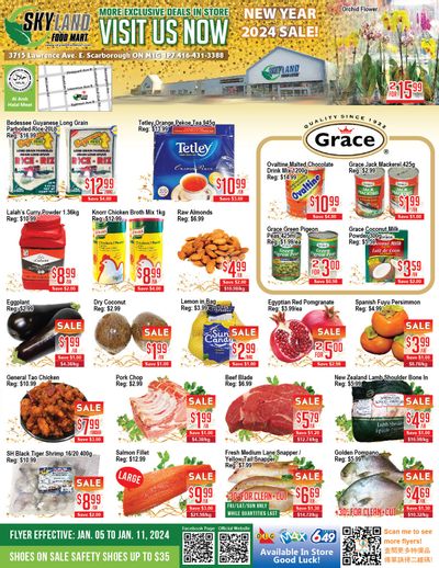 Skyland Food Mart Flyer January 5 to 11