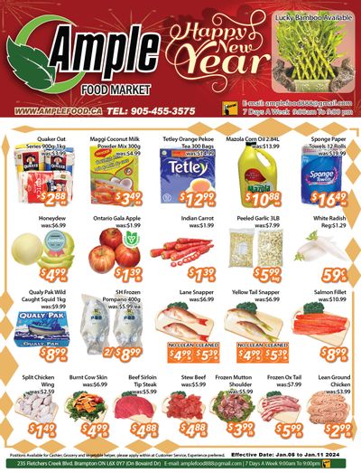 Ample Food Market (Brampton) Flyer January 5 to 11