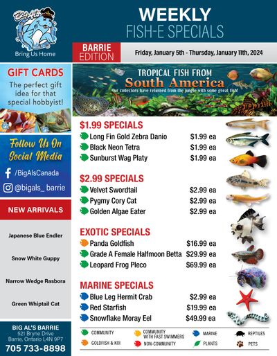 Big Al's (Barrie) Weekly Specials January 5 to 11