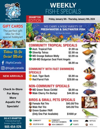 Big Al's (Brampton) Weekly Specials January 5 to 11