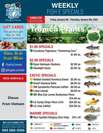 Big Al's (Hamilton) Weekly Specials January 5 to 11