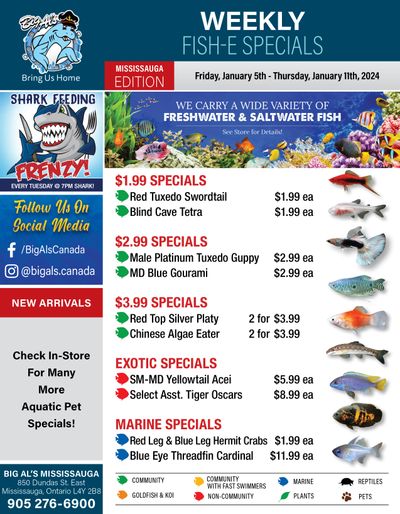 Big Al's (Mississauga) Weekly Specials January 5 to 11