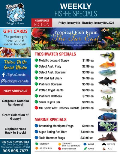 Big Al's (Newmarket) Weekly Specials January 5 to 11