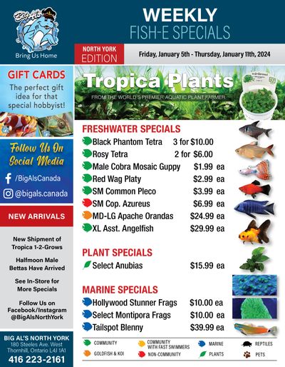 Big Al's (North York) Weekly Specials January 5 to 11