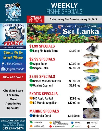 Big Al's (Ottawa East) Weekly Specials January 5 to 11