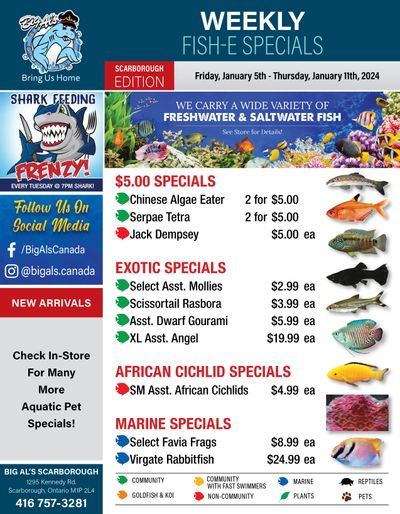 Big Al's (Scarborough) Weekly Specials January 5 to 11 Big Al's (Scarborough) Weekly Specials January 5 to 11