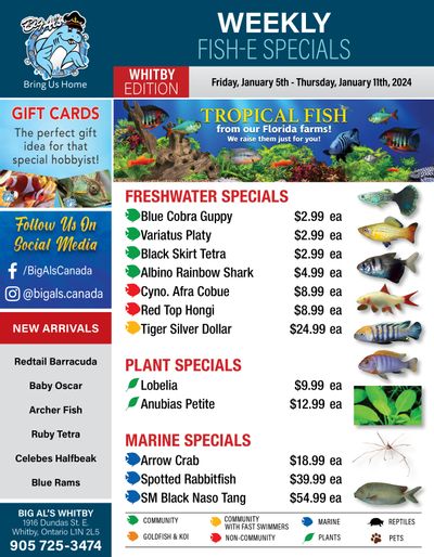 Big Al's (Whitby) Weekly Specials January 5 to 11