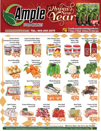 Ample Food Market (Brampton) Flyer January 12 to 18