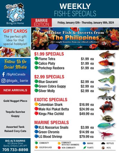 Big Al's (Barrie) Weekly Specials January 12 to 18