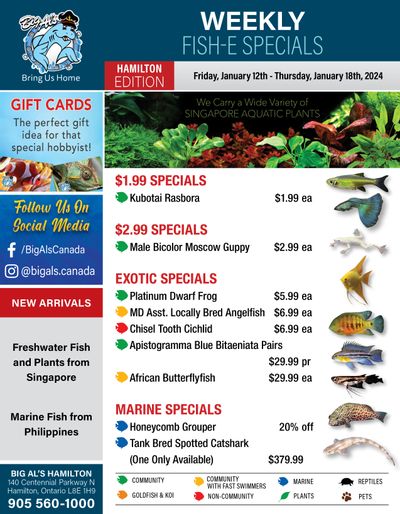 Big Al's (Hamilton) Weekly Specials January 12 to 18