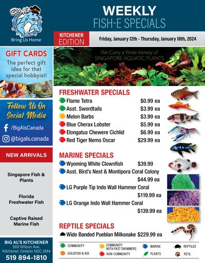 Big Al's (Kitchener) Weekly Specials January 12 to 18