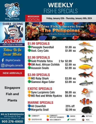 Big Al's (Mississauga) Weekly Specials January 12 to 18