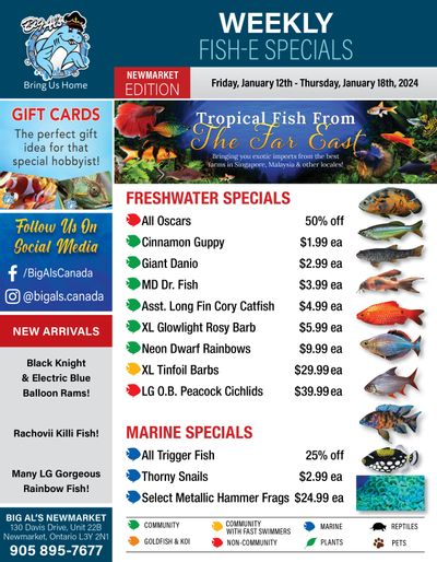 Big Al's (Newmarket) Weekly Specials January 12 to 18