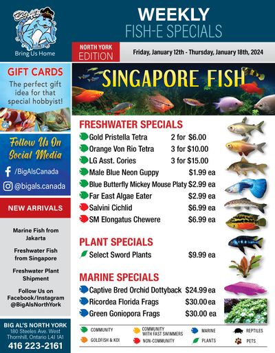 Big Al's (North York) Weekly Specials January 12 to 18