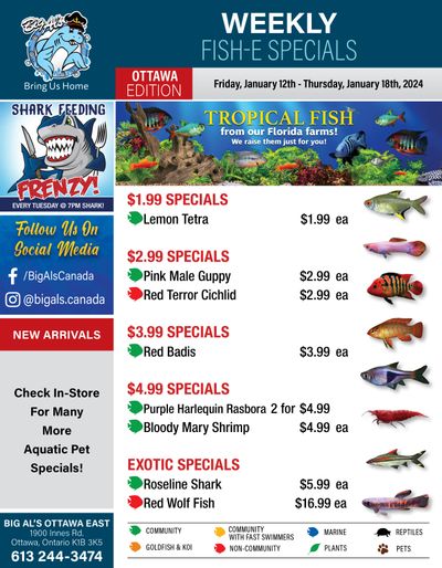 Big Al's (Ottawa East) Weekly Specials January 12 to 18