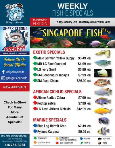 Big Al's (Scarborough) Weekly Specials January 12 to 18