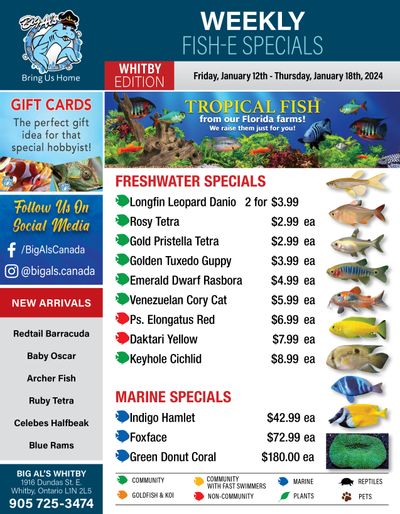 Big Al's (Whitby) Weekly Specials January 12 to 18 Big Al's (Whitby) Weekly Specials January 12 to 18
