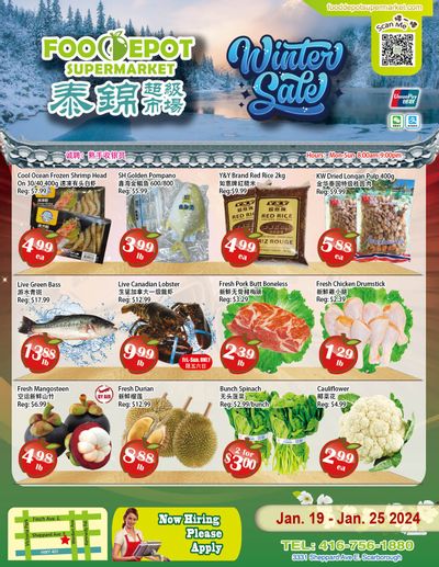 Food Depot Supermarket Flyer January 19 to 25