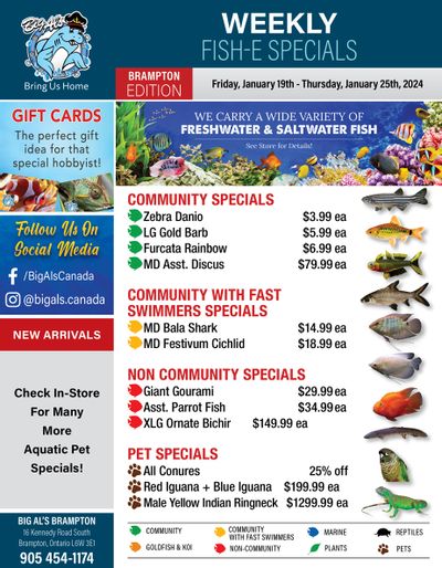 Big Al's (Brampton) Weekly Specials January 19 to 25