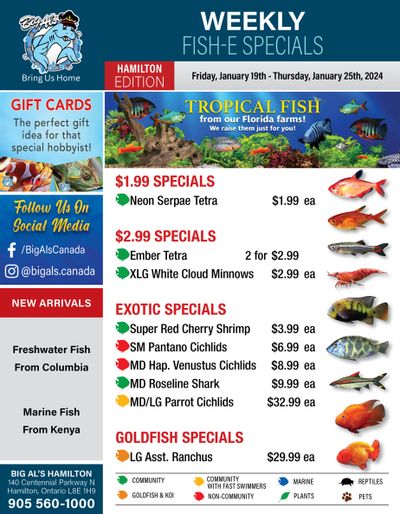 Big Al's (Hamilton) Weekly Specials January 19 to 25