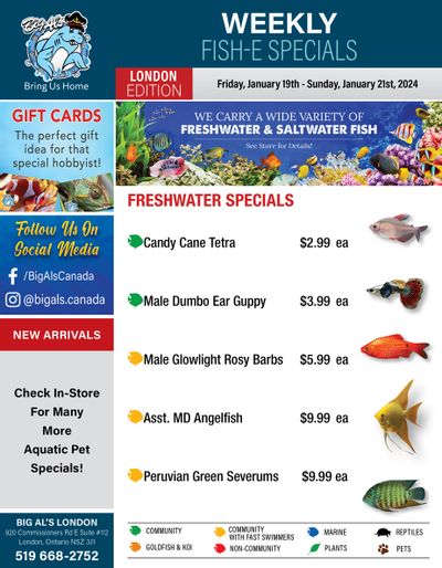 Big Al's (London) Weekend Specials January 19 to 21