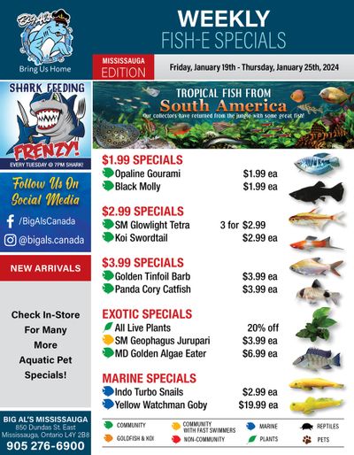 Big Al's (Mississauga) Weekly Specials January 19 to 25
