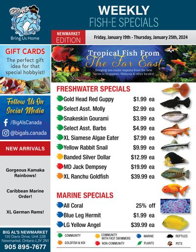 Big Al's (Newmarket) Weekly Specials January 19 to 25