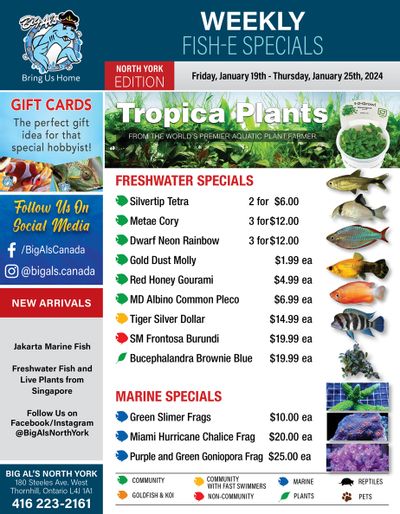 Big Al's (North York) Weekly Specials January 19 to 25