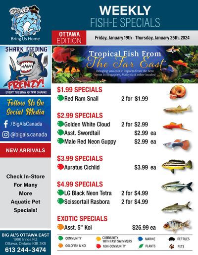 Big Al's (Ottawa East) Weekly Specials January 19 to 25
