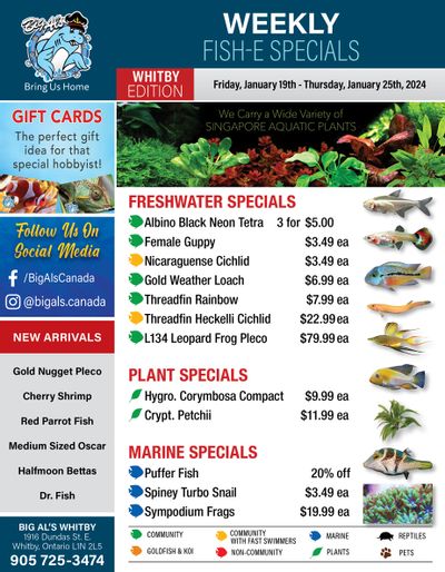 Big Al's (Whitby) Weekly Specials January 19 to 25