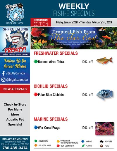 Big Al's (Edmonton) Weekly Specials January 26 to February 1