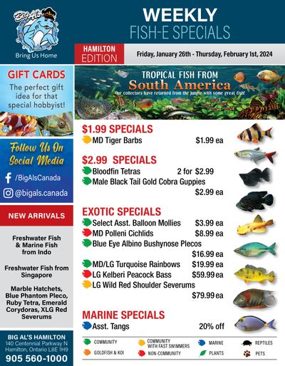 Big Al's (Hamilton) Weekly Specials January 26 to February 1
