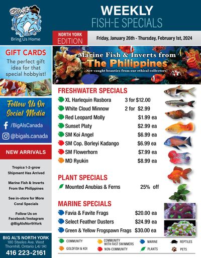 Big Al's (North York) Weekly Specials January 26 to February 1