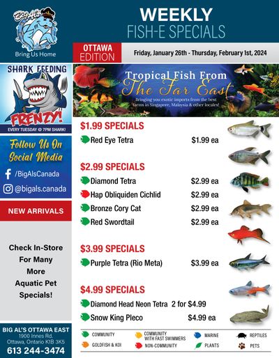 Big Al's (Ottawa East) Weekly Specials January 26 to February 1