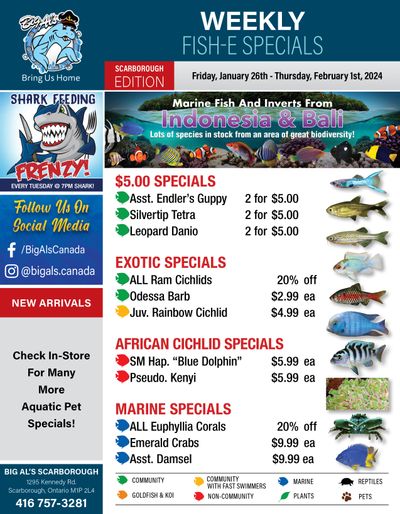 Big Al's (Scarborough) Weekly Specials January 26 to February 1