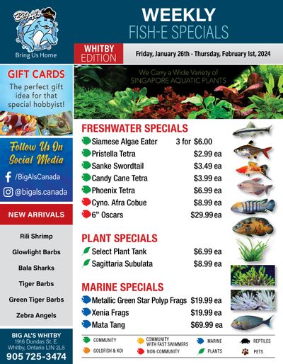 Big Al's (Whitby) Weekly Specials January 26 to February 1