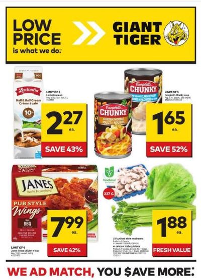 Giant Tiger Canada Flyer Deals Until February 6th
