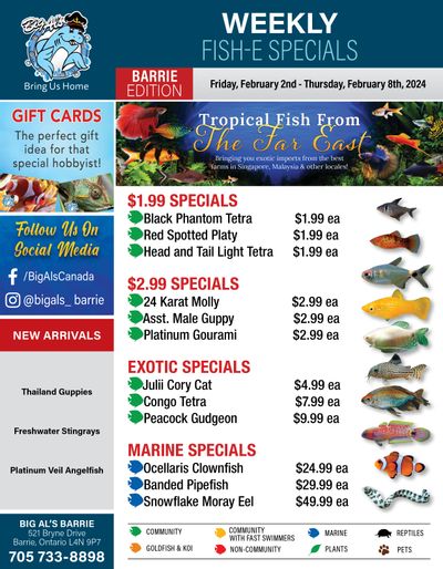 Big Al's (Barrie) Weekly Specials February 2 to 8