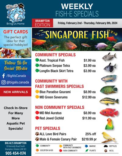 Big Al's (Brampton) Weekly Specials February 2 to 8