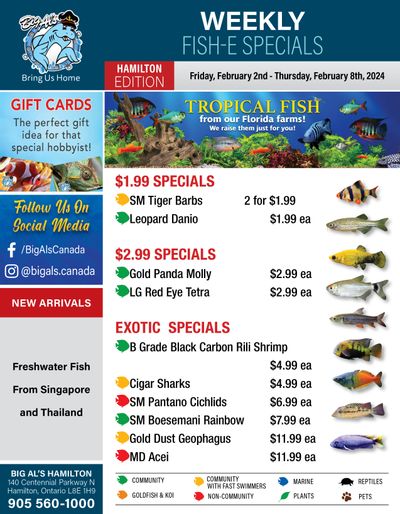 Big Al's (Hamilton) Weekly Specials February 2 to 8 Big Al's (Hamilton) Weekly Specials February 2 to 8