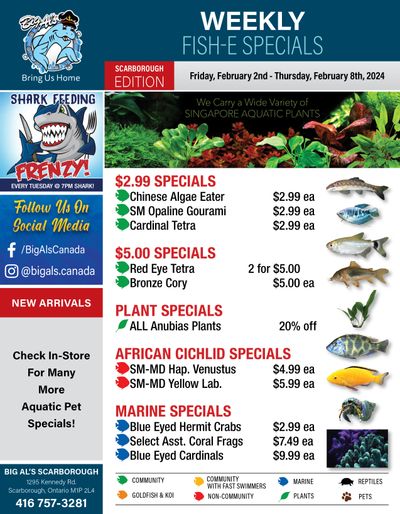 Big Al's (Scarborough) Weekly Specials February 2 to 8