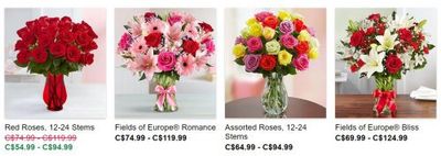 1800Flowers Canada: Deal of The Day + Love & Romance Valentine’s Day Flowers