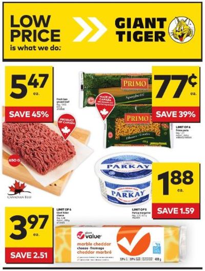 Giant Tiger Canada Flyer Deals February 14th – 20th