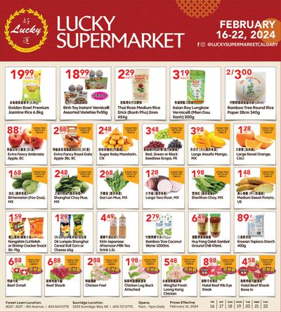 Lucky Supermarket (Calgary) Flyer February 16 to 22