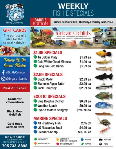 Big Al's (Barrie) Weekly Specials February 16 to 22
