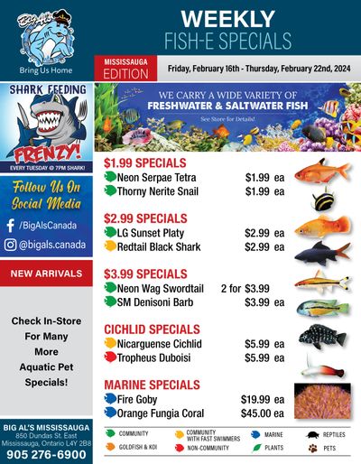 Big Al's (Mississauga) Weekly Specials February 16 to 22