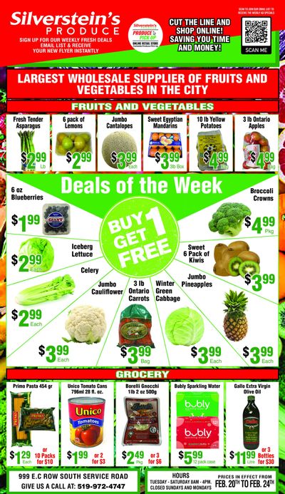 Silverstein's Produce Flyer February 20 to 24