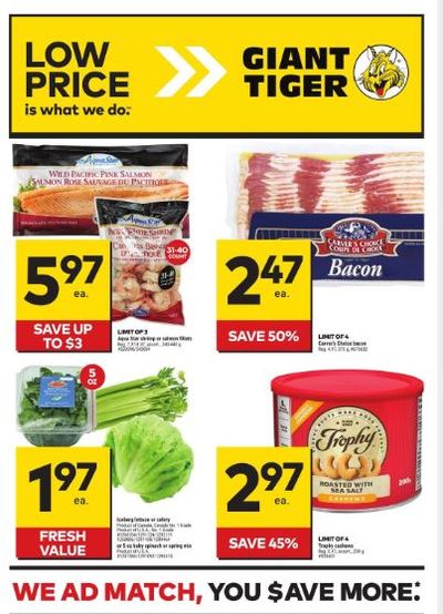 Giant Tiger Canada Flyer Deals February 21st – 27th